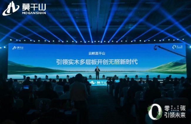 1733757082-40053d70603bba7 1733757082-40053d70603bba7