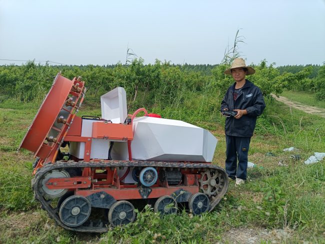 1749546372-1f90daaf42fee56