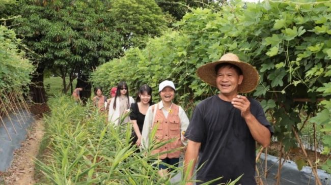 1751981052-71eaaf08752d032