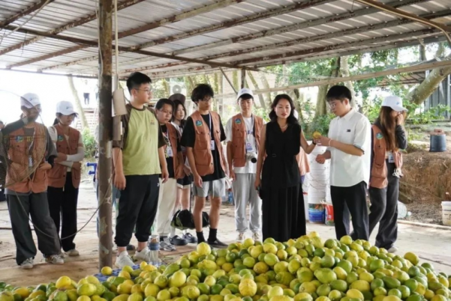 1751981052-773f9f23c615b33