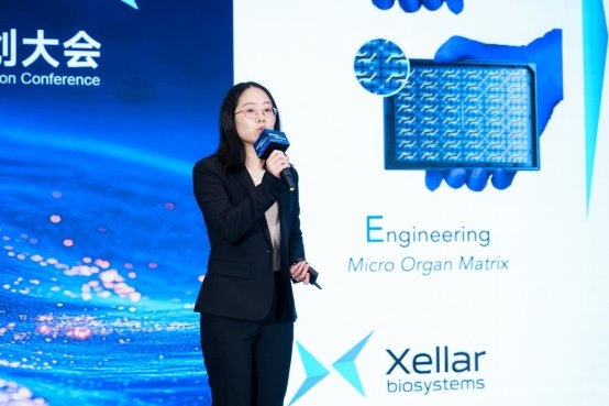 1769654150-d0217782f71d149