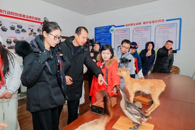 1773937184-490e8d3bc18d6ca