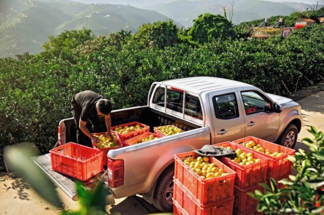 1774368355-1db0d0246f60298