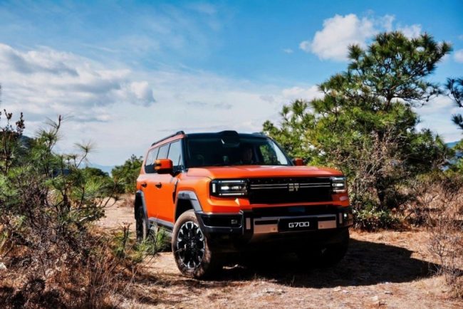 1774583025-01416223c1d6114 1774583025-01416223c1d6114