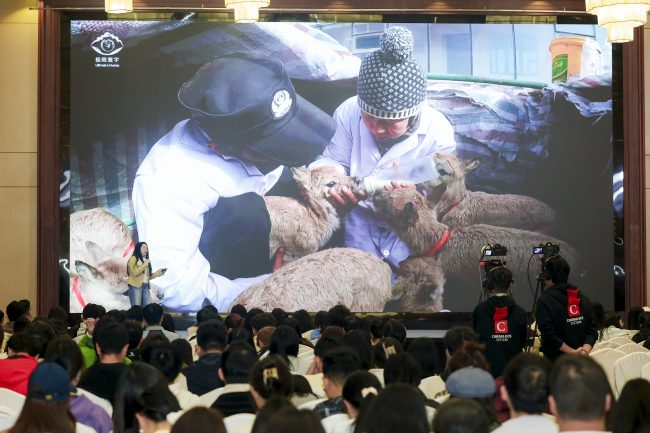 1777480235-6355811e70b3b9e