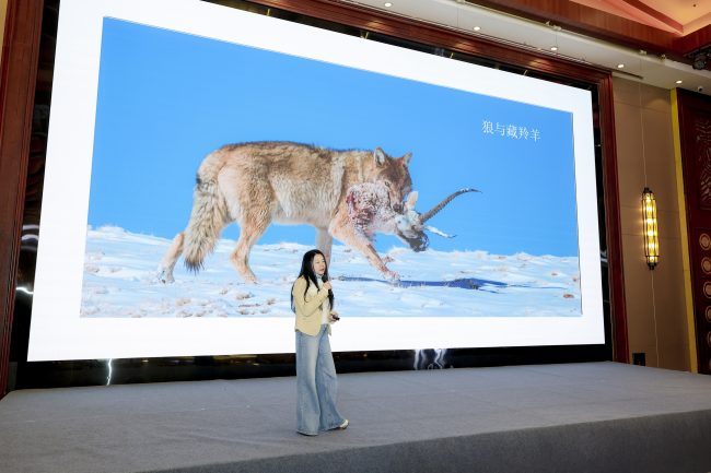 1777480235-aae4820dea020b1